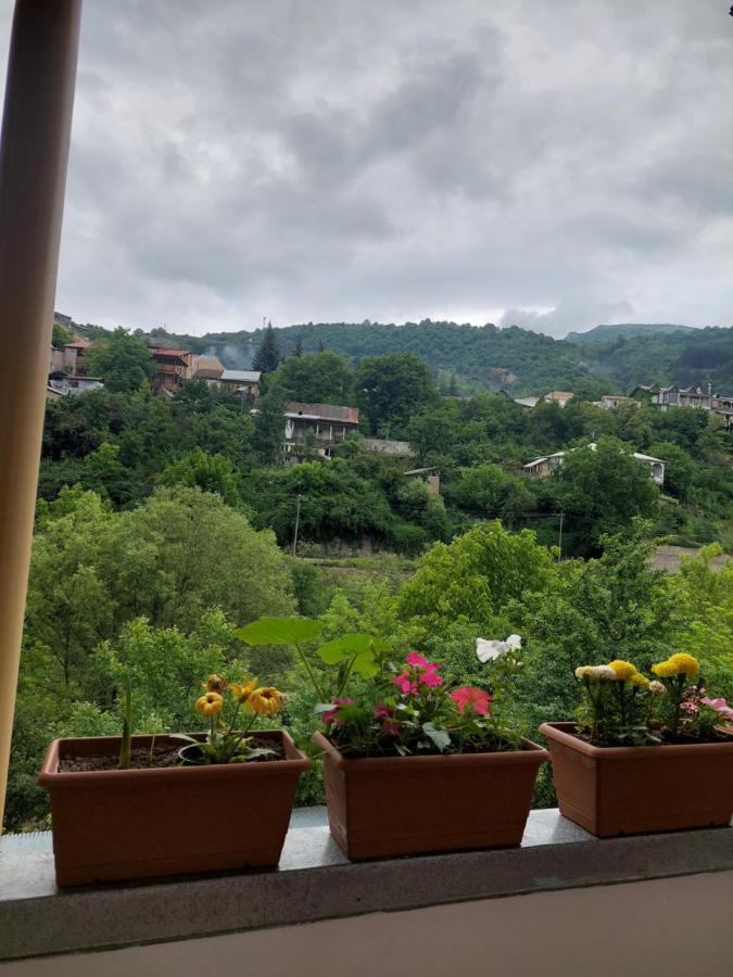 Arman Guest House Dilijan Exterior foto